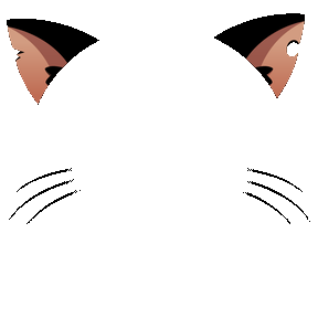 Profile decoration